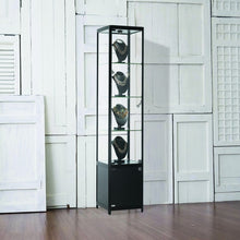 Vista Black Display Cabinet Tall Narrow (with storage)