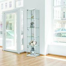 Vista Silver Display Cabinet Tall Narrow